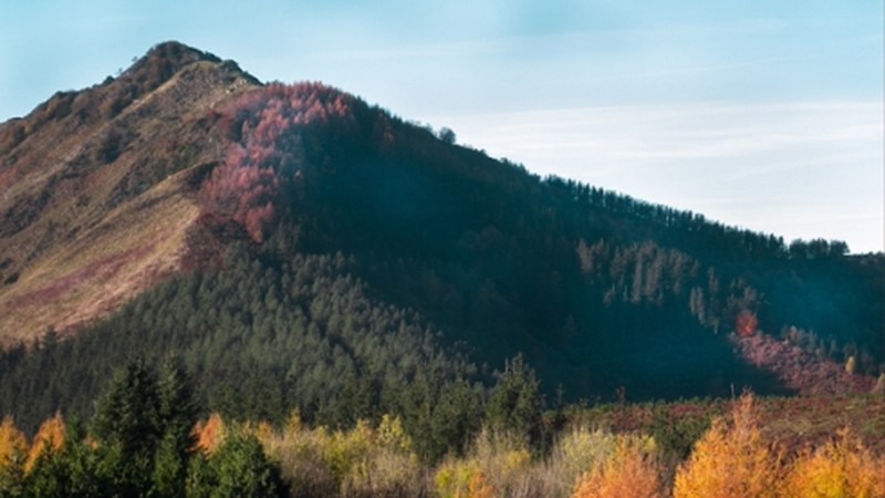 Gaur zabalduko da Irigoienen argazki erakusketa eta salmenta Topalekuan