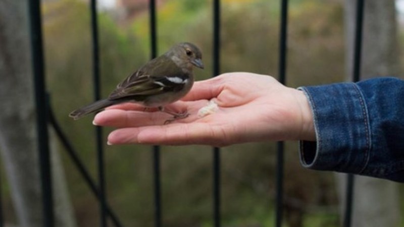Gaurko bideoan konfinamenduari buruzko azalpen interesgarriak ematen ditu Ana Galarragak
