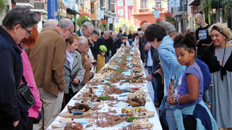 Gaurko Deporreko hitzaldiarekin hasiko dira 22. Jardunaldi Mikologikoak