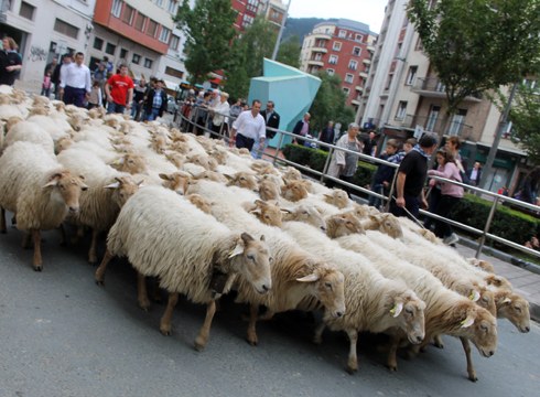 Gazta Asteak ardiak herriko kaleetaraino ekarri zizkigun