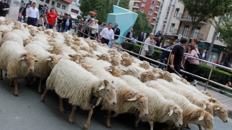 Gazta Asteak ardiak herriko kaleetaraino ekarri zizkigun
