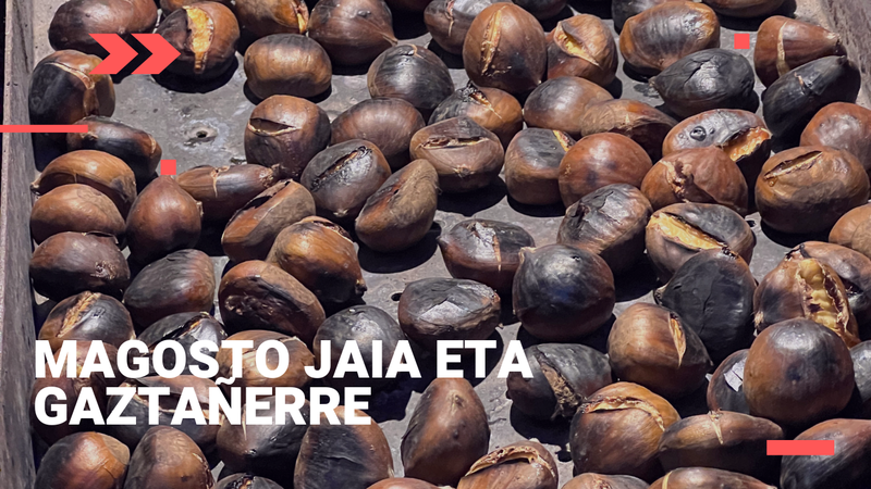 Gaztainak eta barraskiloak, Gaztañerre eta Magosto jaietako protagonistak