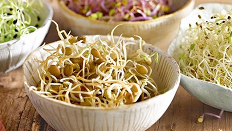 Germinatuak prestatzeko ikastaroa antolatu du ...eta kitto!-k abenduaren 1erako