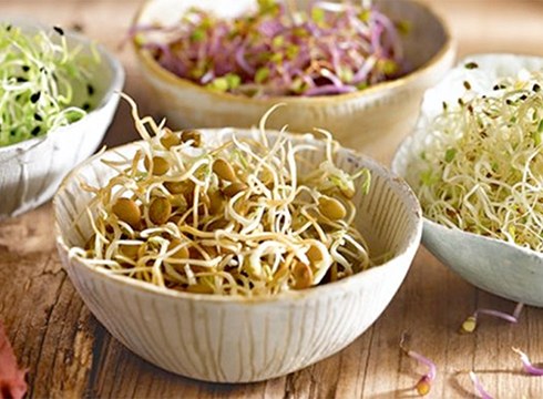 Germinatuak prestatzen ikasteko tailerra antolatu du ...eta kitto! Euskara Elkarteak abenduaren 1erako