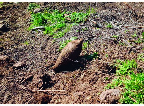 Gerra Zibileko bi lehergailu aurkitu dituzte Akondia inguruan