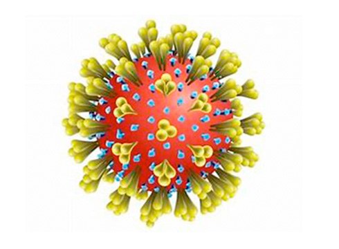 Gipuzkoako zaharren egoitzetan 153 heriotza eman dira eta 189 lagun sendatu dira