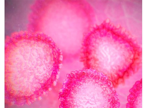 Gipuzkoan azken orduetan atzemandako 18 kasuak Eibarren eman dira