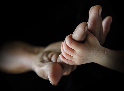 Giza kateari jarraipen berezia egingo diogu, eguneko irudiak zuekin partekatzeko