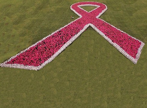 Giza mosaikoa osatu eta puxikak askatuko dira eguaztenean, Bularreko Minbiziaren Aurkako Egunaren bezperan