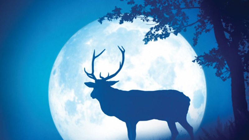 GNaturaldia ailegatuko zaigu gaur arratsaldean Eibarrera