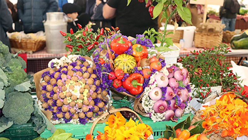 Jaia goizetik gauera Sanandresetan