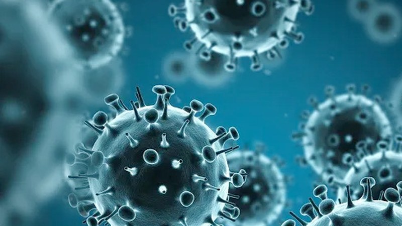 Gripearen aurkako txertoa herritar guztientzat erabilgarri dagoela adierazi du Osakidetzak