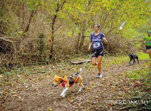 Gure herriko ordezkariek postu onak lortu dituzte Euskal Txakurkros Ligako azken hiru probatan