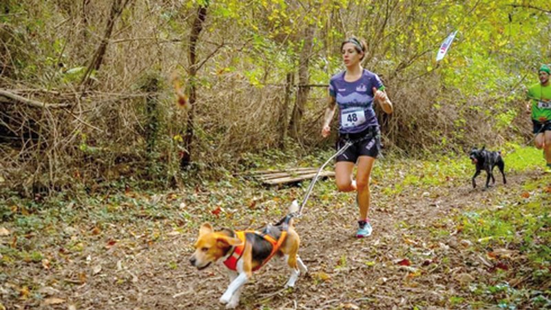 Gure herriko ordezkariek postu onak lortu dituzte Euskal Txakurkros Ligako azken hiru probatan
