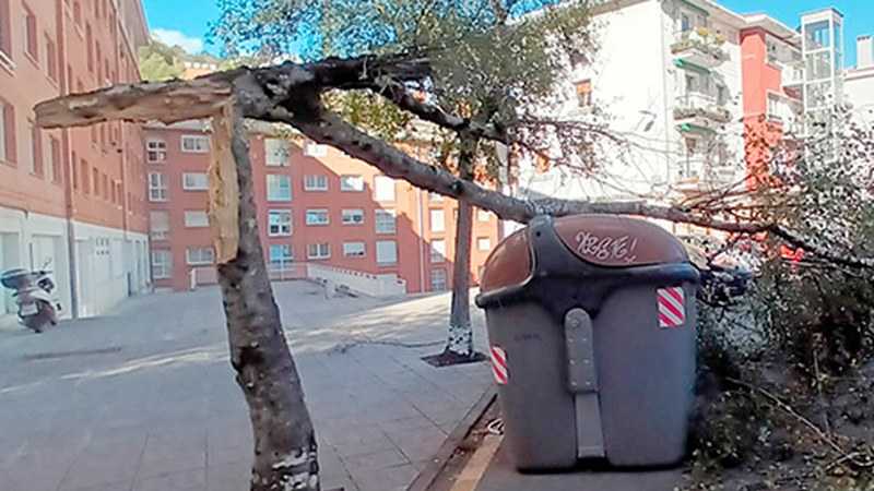 Haize bolada gogorrak izango ditugu gaur ere