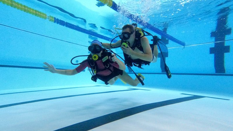 Hamar urpekari bataiatu zituzten aurreko zapatuan Orbea kiroldegiko igerilekuan