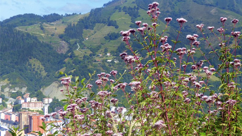 "Harro nago zutaz, Eibar! vs Amorratu egiten nauzu, Eibar!" argazki-lehiaketara aurkezteko epea zabalik dago