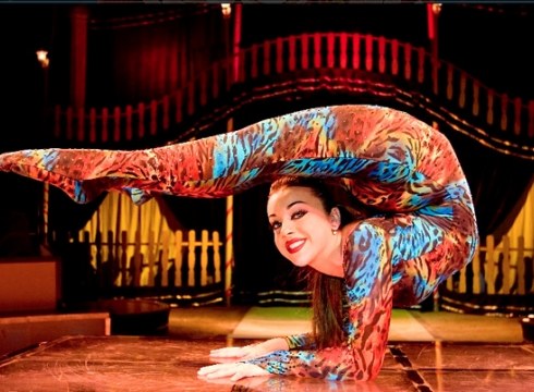 Hasi dira Italiako Zirkua ipintzen