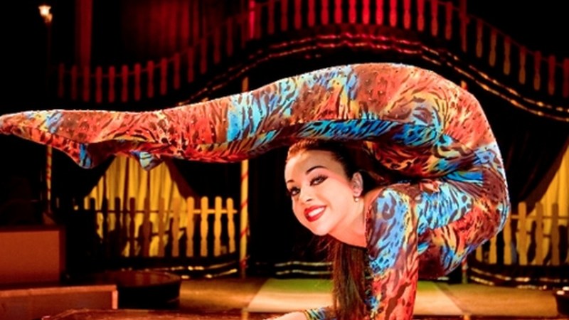 Hasi dira Italiako Zirkua ipintzen