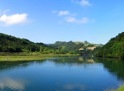 Hegaztiak behatzen ikasteko irteera gidatua antolatu du Geoparkeak domekarako