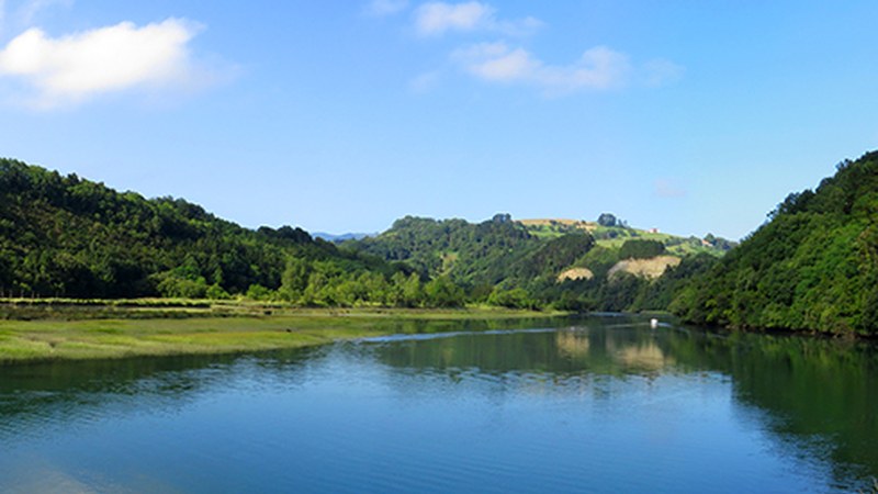 Hegaztiak behatzen ikasteko irteera gidatua antolatu du Geoparkeak domekarako