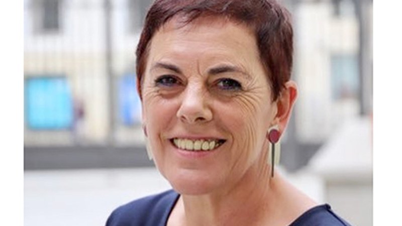 Herri batzar telematikoa egingo da gaur arratsaldean Mertxe Aizpuruarekin