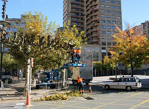 Herriko zuhaitzen adarrak inausten dihardute