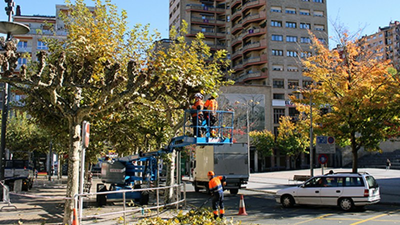 Herriko zuhaitzen adarrak inausten dihardute