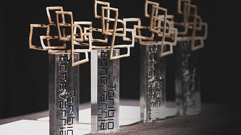 Hilaren 28ra arte onartuko dituzte Toribio Echevarria Sarietarako hautagaitzak