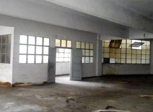 Hildako taillarrak kulturarekin berpizten