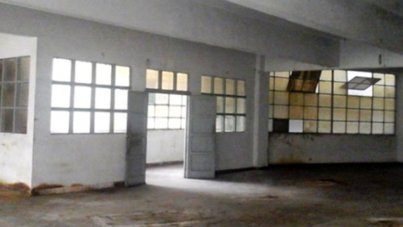 Hildako taillarrak kulturarekin berpizten