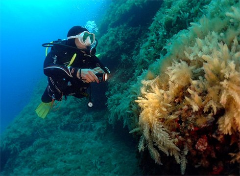 "Hiru Itsasargi", Fernan Calvo eibartarraren dokumentala emango dute gaur Coliseon CIMASUB zikloaren baitan