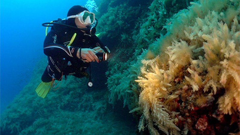 "Hiru Itsasargi", Fernan Calvo eibartarraren dokumentala emango dute gaur Coliseon CIMASUB zikloaren baitan