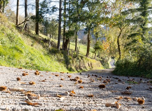 Hiru landa-bide asfaltatzeko lanak hasiko dira datorren astean