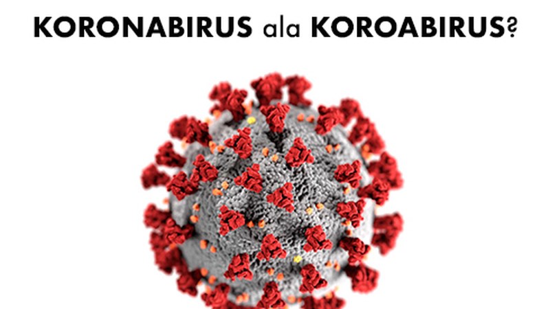 Hizkuntz maileguak: zergatik koronabirus, eta ez koroabirus?