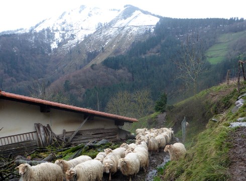 Hotza eta izotza hurrengo egunetan, eta bihar goizean elurra egin dezake