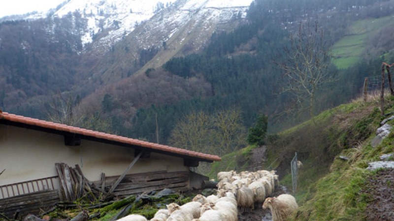 Hotza eta izotza hurrengo egunetan, eta bihar goizean elurra egin dezake