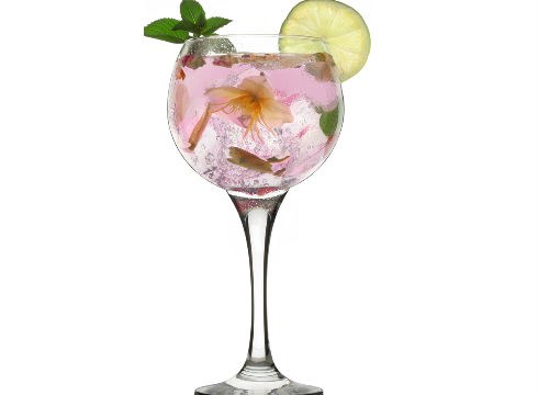 I. Gin Tonic lehiaketa antolatu du ...eta kitto!-k