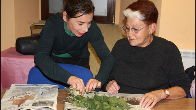 Ibilbide botanikoa egingo dute bihar Mendi Jardunaldien barruan