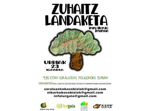 Igandeko zuhaitz landaketan parte hartzeko deia egin du Eibarko Baso Biziak elkarteak
