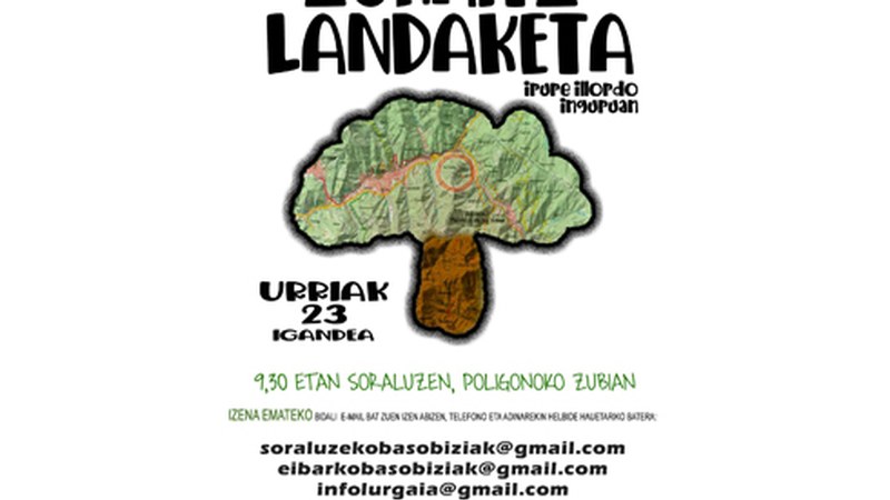 Igandeko zuhaitz landaketan parte hartzeko deia egin du Eibarko Baso Biziak elkarteak