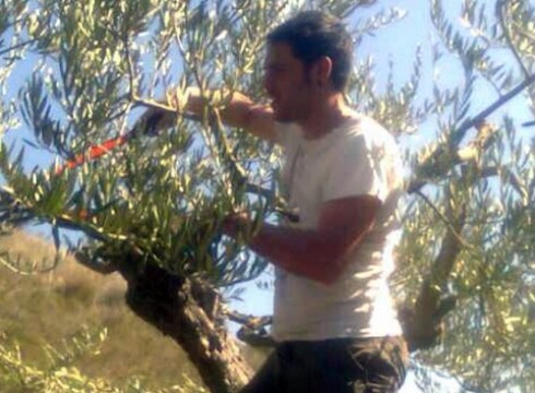 Iker Diaz De Cerio, nekazari-teknikaria: "Gure olioaren kultura Eibarren zabaltzen saiatuko naiz"