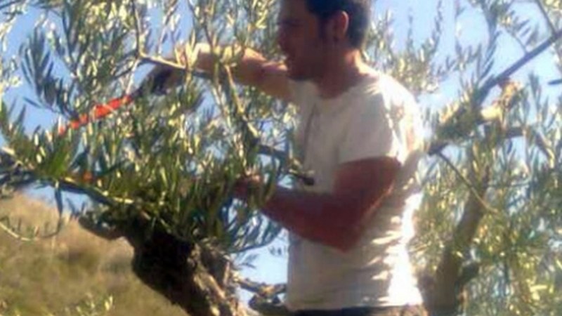 Iker Diaz De Cerio, nekazari-teknikaria: "Gure olioaren kultura Eibarren zabaltzen saiatuko naiz"