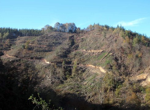 Ingurumena zaintzeko proposamenak