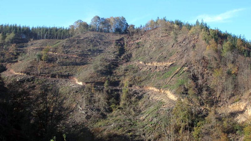 Ingurumena zaintzeko proposamenak