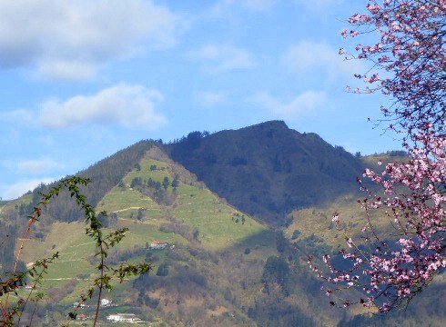 Ingurumenaren Mundu Eguna oroitzeko ekitaldiak antolatu ditu Eibarko Udalaren Ingurumen Sailak