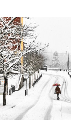 “Ipuruan edurtza erdian” (Pedro Arriola)