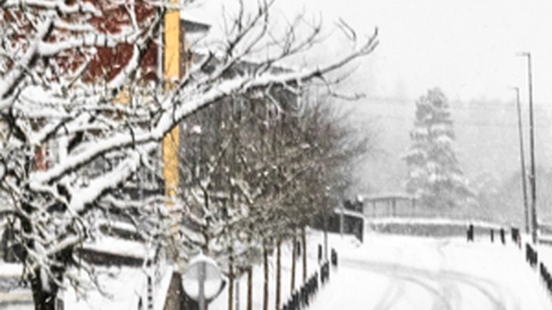 “Ipuruan edurtza erdian” (Pedro Arriola)