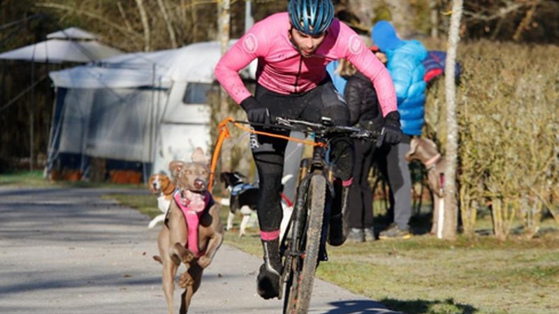 IV. Eibarko Txakurkrosa giro bikainean jokatu zen aurreko domekan