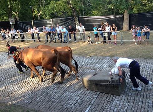 Jaiak beteko du Arrate berriz ere domekan, Kofradixa Egunean